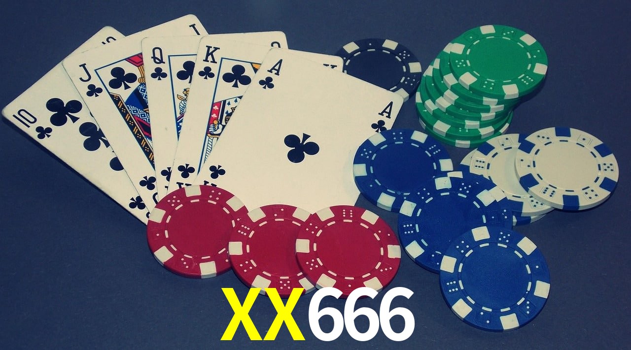 Sports Statistics XX666