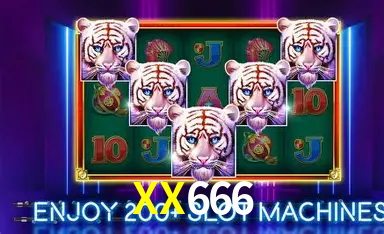 Responsive Design XX666